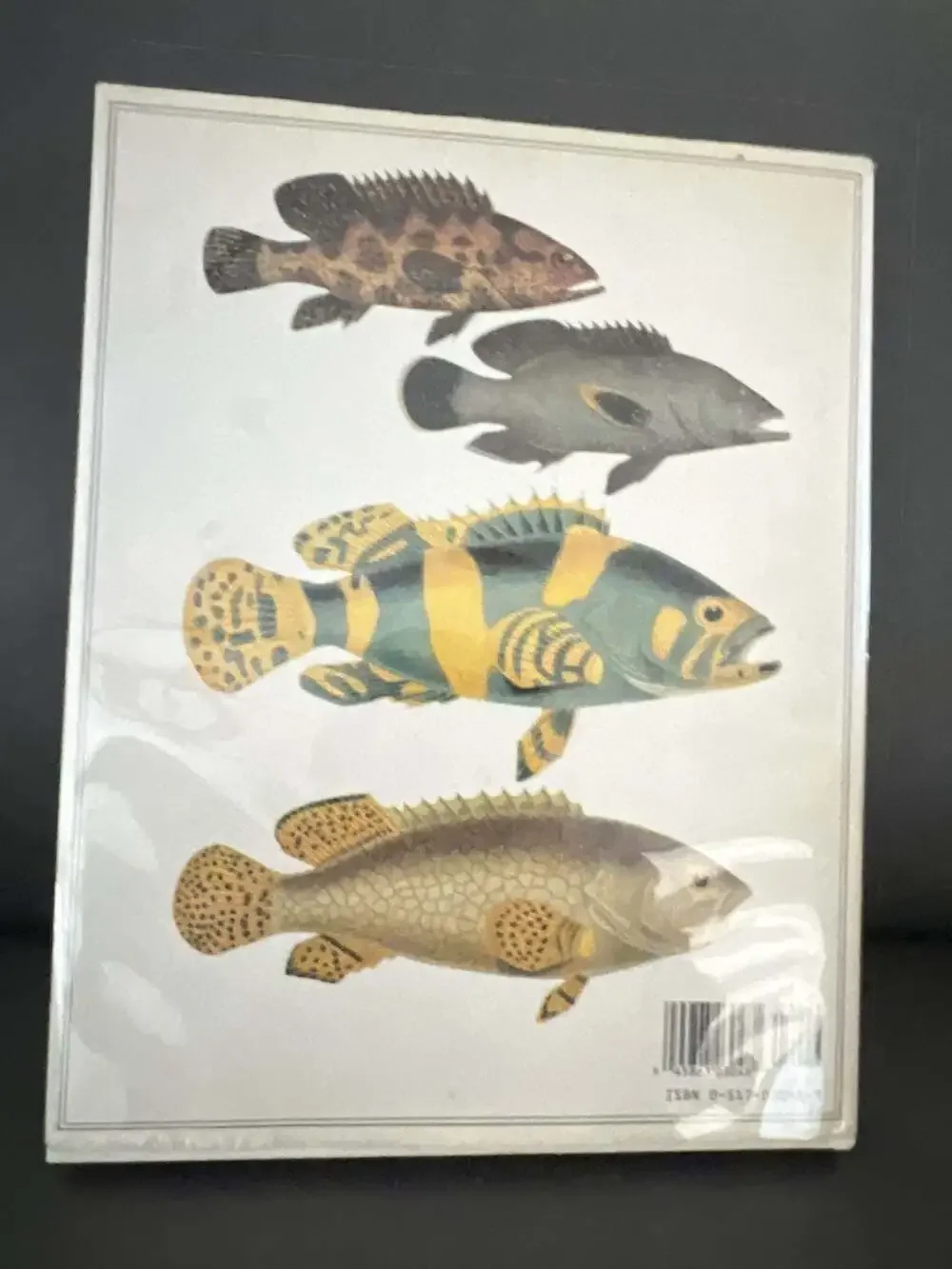 Fish of the World By Hiroshi Aramata